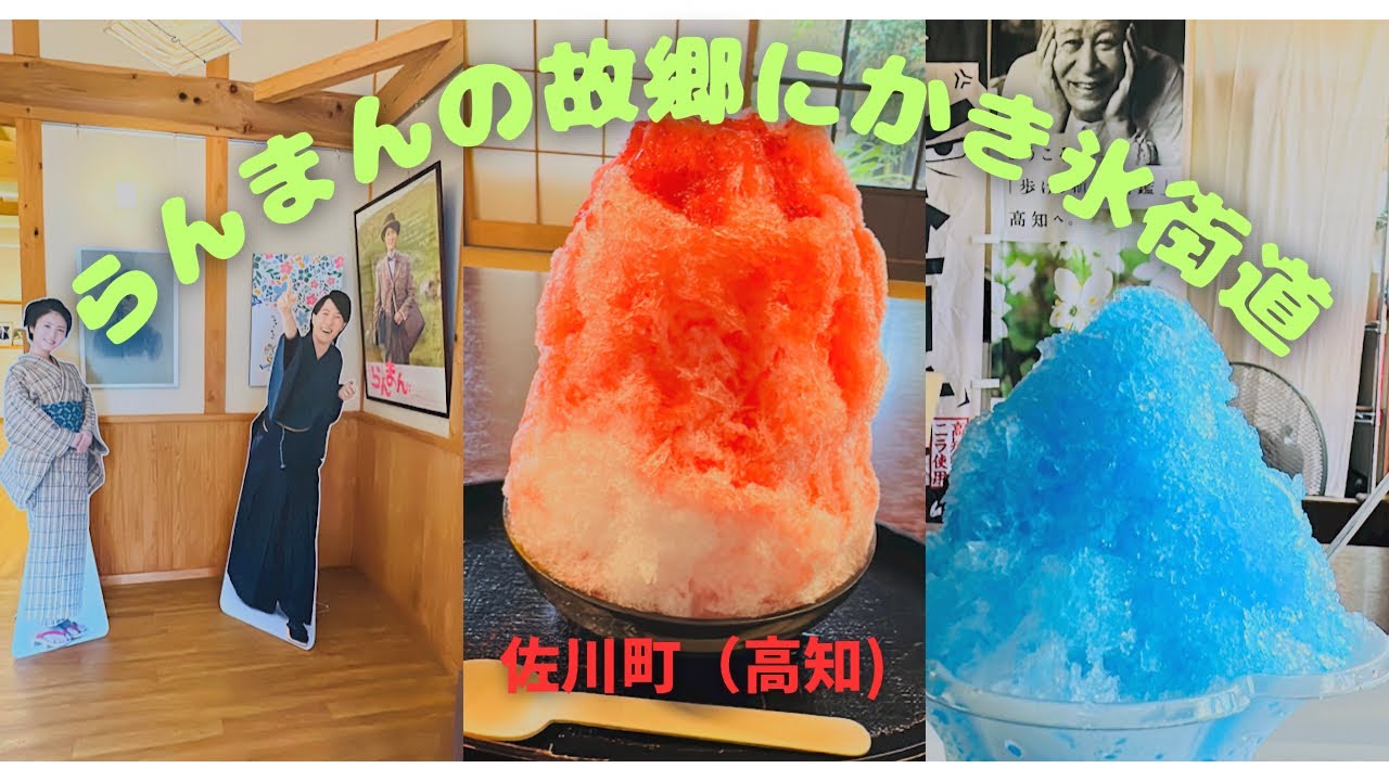 「らんまん」の故郷にツーンと涼しいかき氷街道（高知）