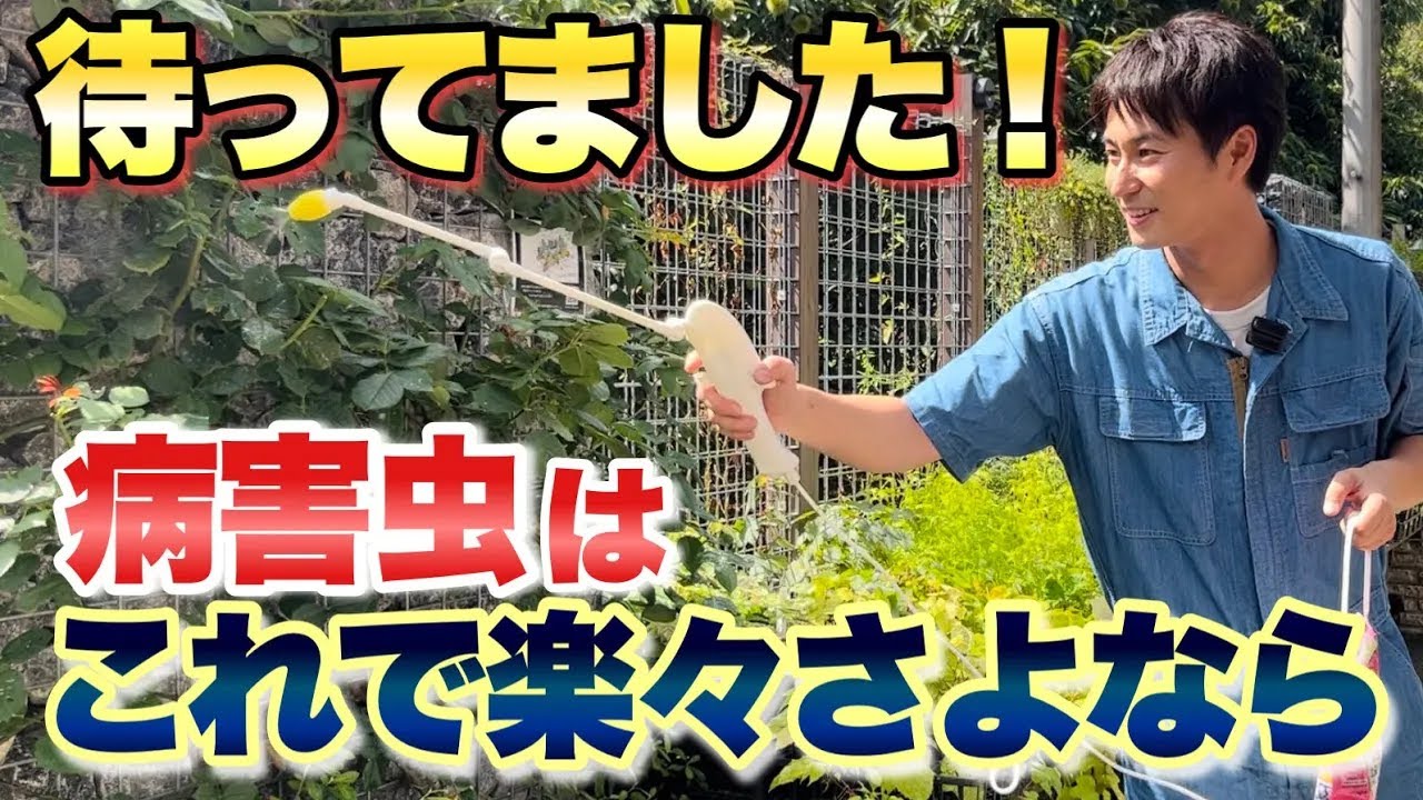 【オススメ！】病害虫のお悩みはこれでらくらく解消です！【カダン】【ガーデニング】