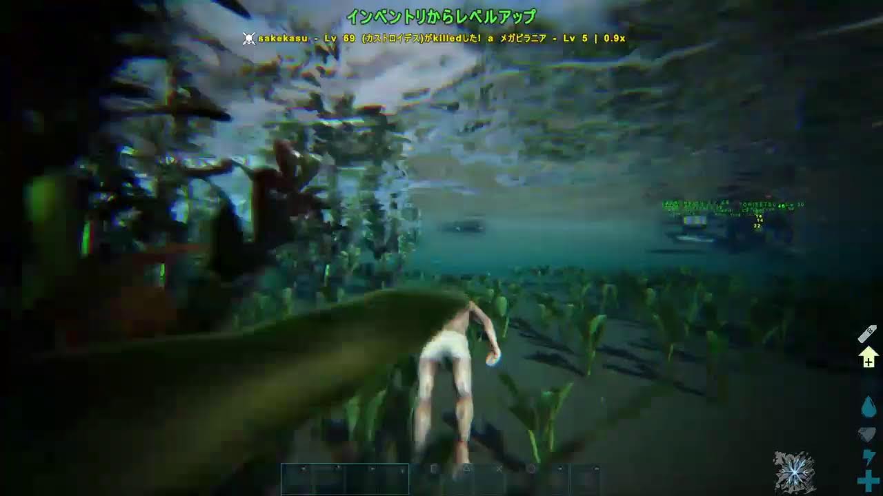 銀ちゃんのあーく