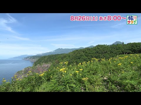 ゲストの旅は小池徹平！「旅サラダ」8月26日（土）放送
