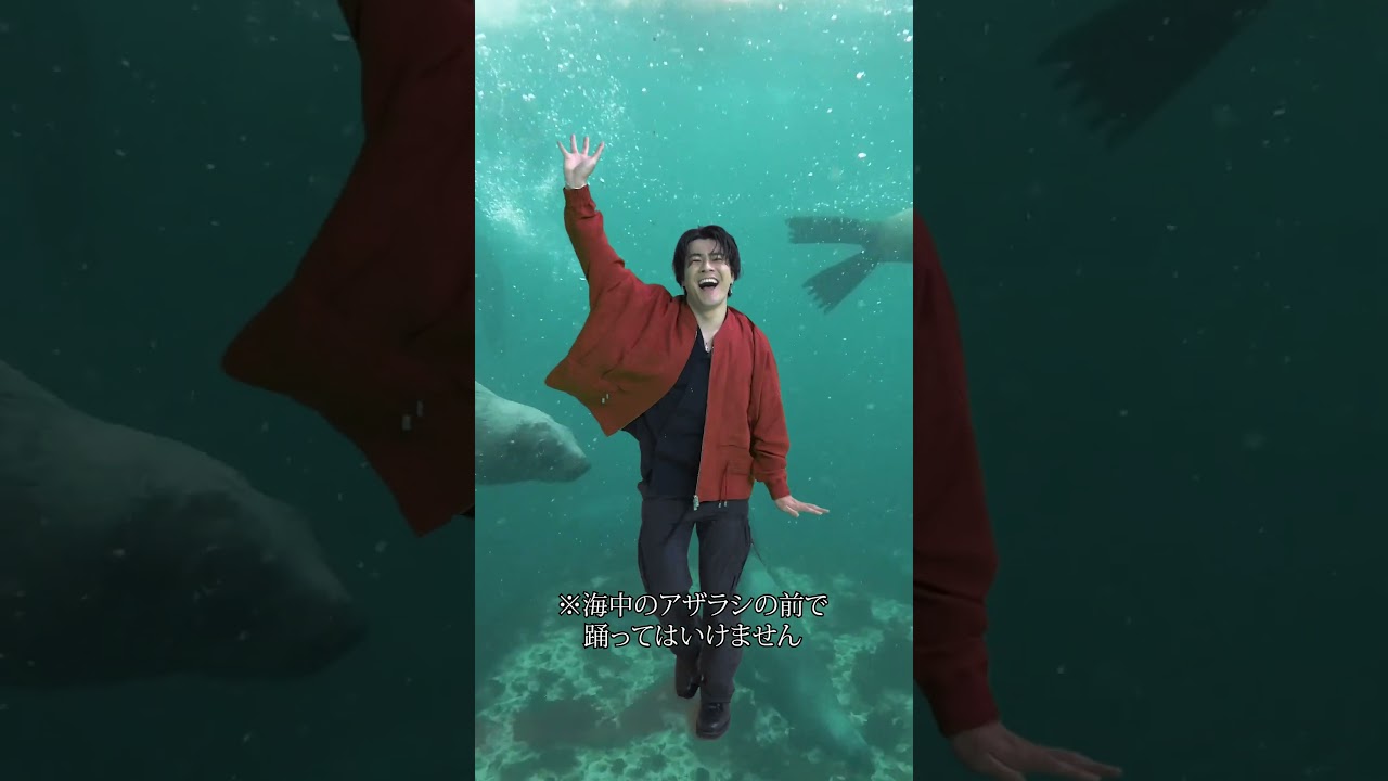 【森本慎太郎】SixTONES「CREAK」好きな背景を入れてみました #森本慎太郎 #SixTONES #CREAK #SixTONES_CREAK #Shorts