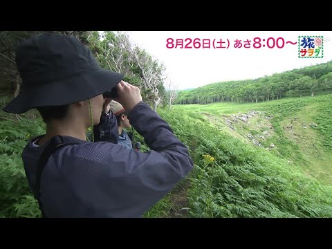ゲストの旅は小池徹平！「旅サラダ」8月26日（土）放送