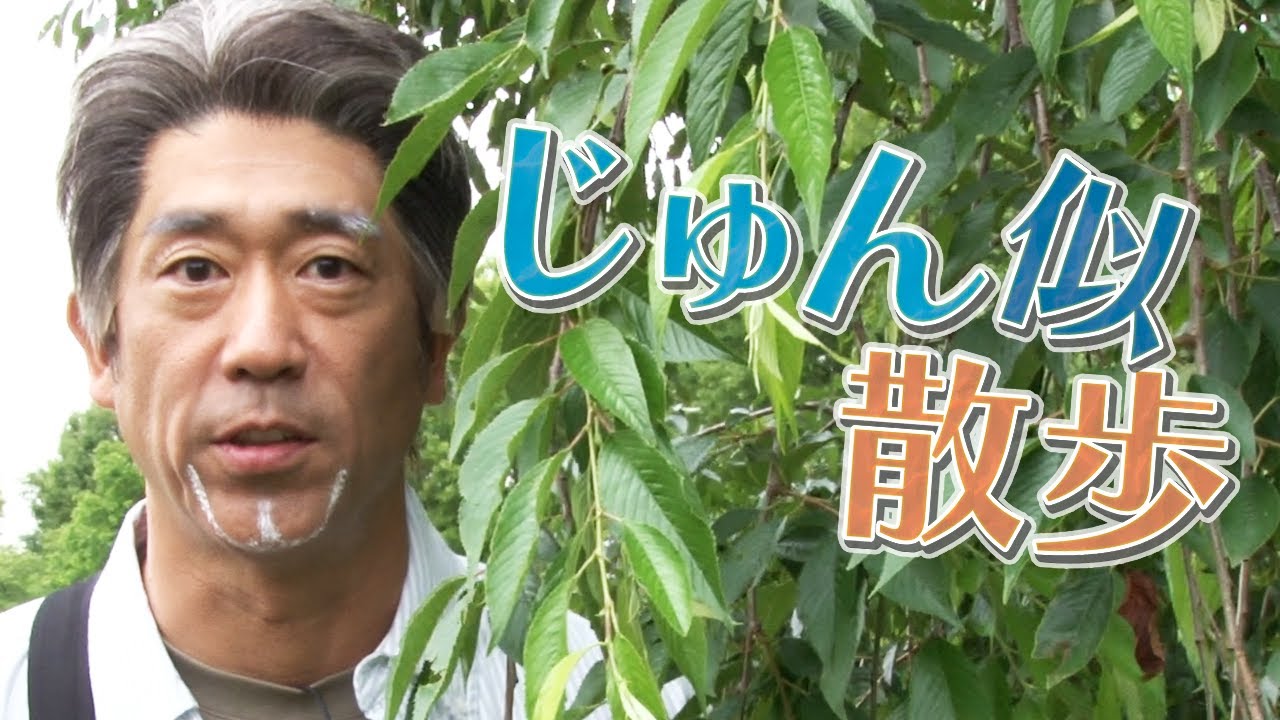 【新企画】じゅん似散歩〜荻窪編〜【原口あきまさ】