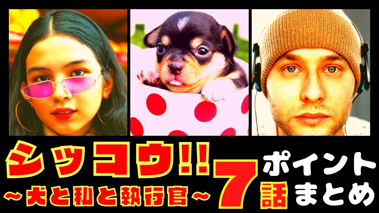 【シッコウ!!〜犬と私と執行官〜7話】ビルの屋上で任侠バトル!?【ポイントまとめ】【伊藤沙莉】【織田裕二】