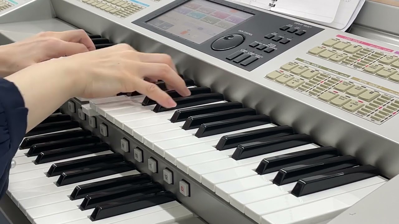 シッコウ!!〜犬と私と執行官〜 サントラをエレクトーンで弾いてみた