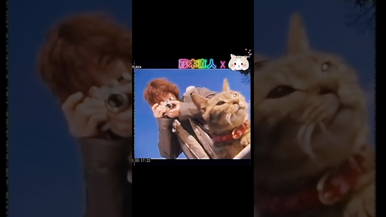#藤木直人 さんと猫ちゃん🐈　2002ドラマThrowback