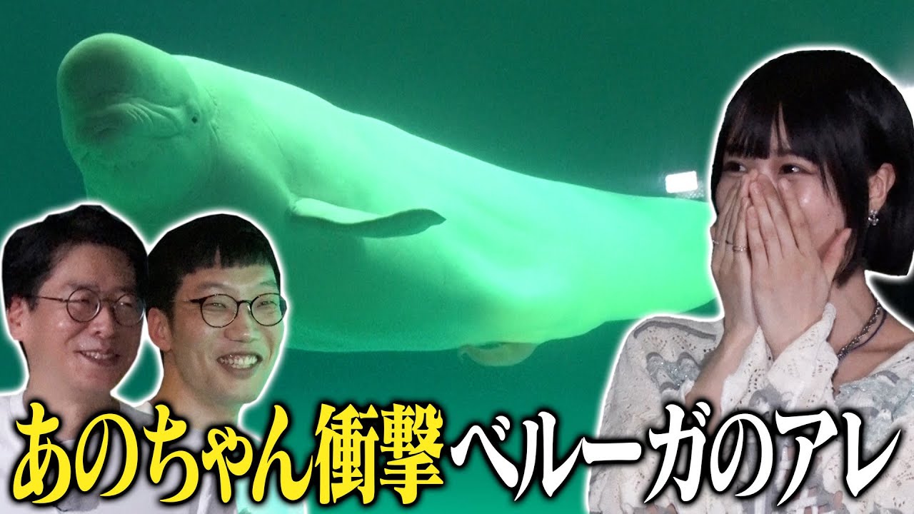【あのちゃん、ベルーガに大興奮】男性ブランコと水族館で大はしゃぎ【あのちゃんねる#23】