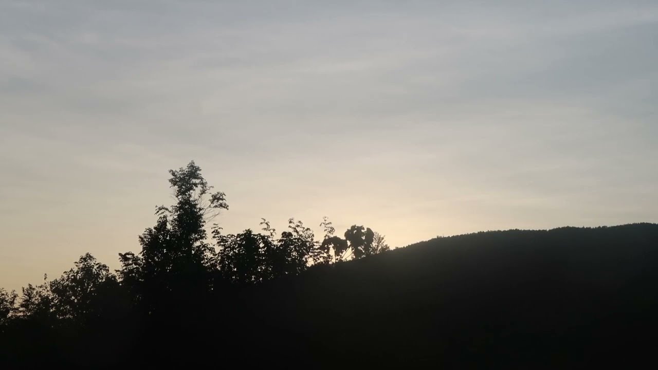 神木隆之介(30)「プレッシャー」ゴジラ生誕70周年!最新作 | 2023年9月4日