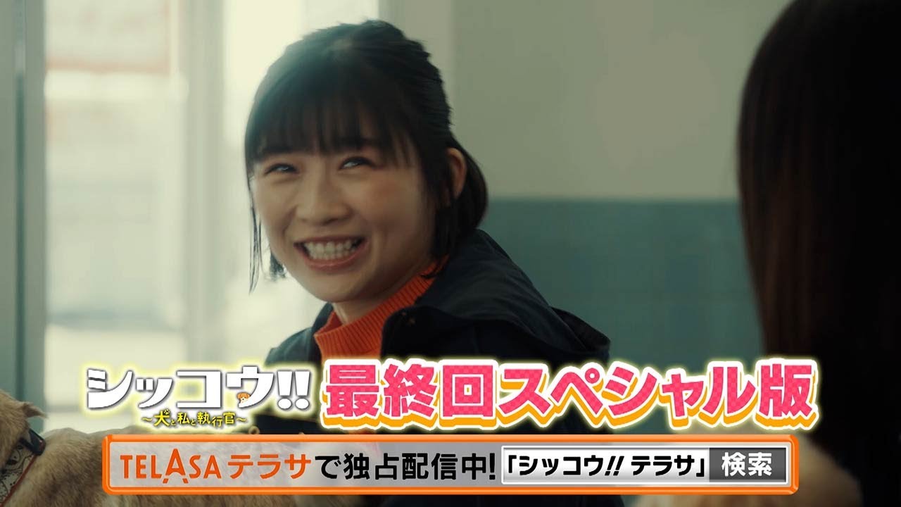 【シッコウ!!～犬と私と執行官～】最終回スペシャル版 TELASAで独占配信中！