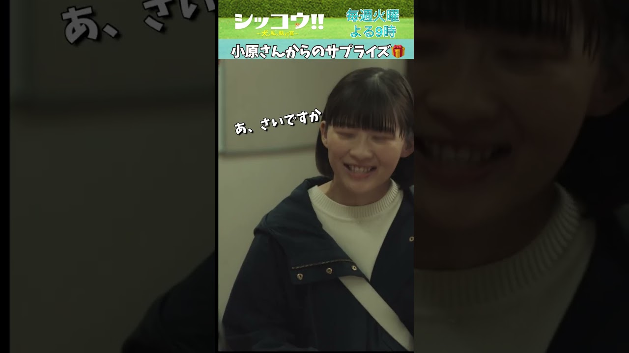 #伊藤沙莉 #織田裕二 #シッコウ!! #テレビ朝日 #毎週火曜よる9時 #shorts