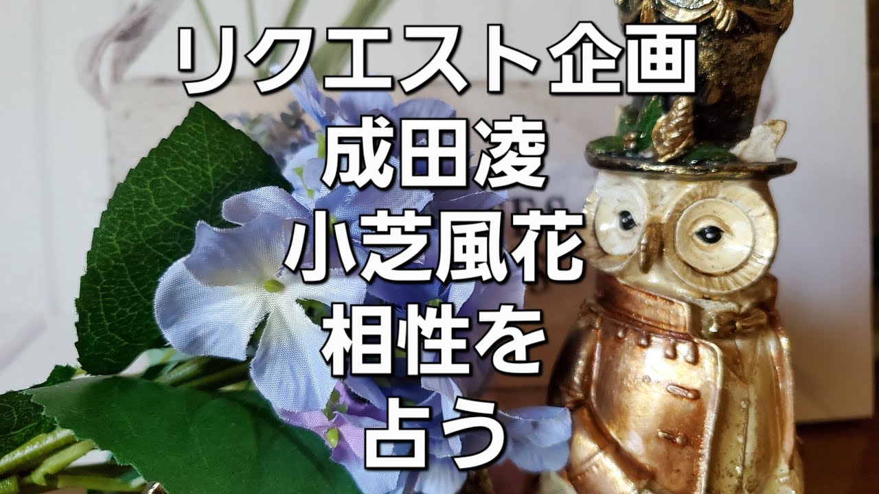 リクエスト企画　成田凌、小芝風花の相性をタロットでみた