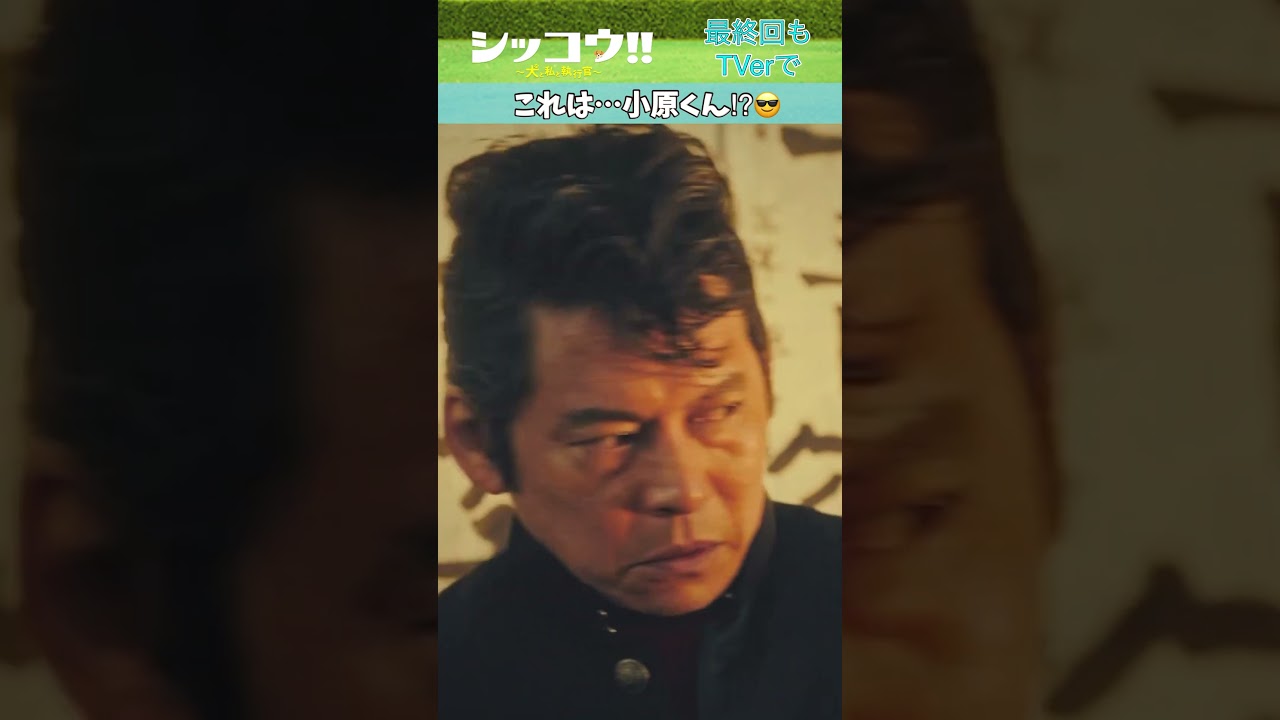 #伊藤沙莉 #中島健人 #SexyZone #織田裕二 #シッコウ!! #テレビ朝日 #毎週火曜よる9時 #shorts