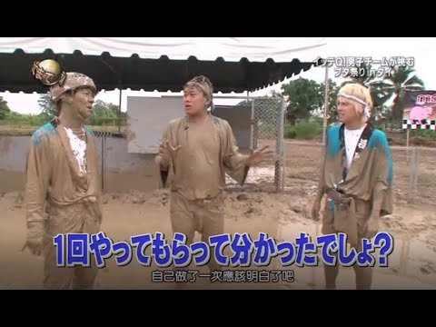 『イッテq』 🅷🅾🆃「イッテQ! 男子チームが挑むブタ祭りinタイ」