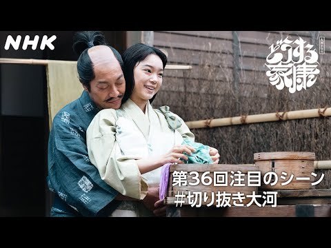 【忍の過去を捨て鳥居元忠の妻となるがよい】武田の忍・千代(古川琴音)と元忠(音尾琢真)の愛 | 大河ドラマ「どうする家康」| NHK