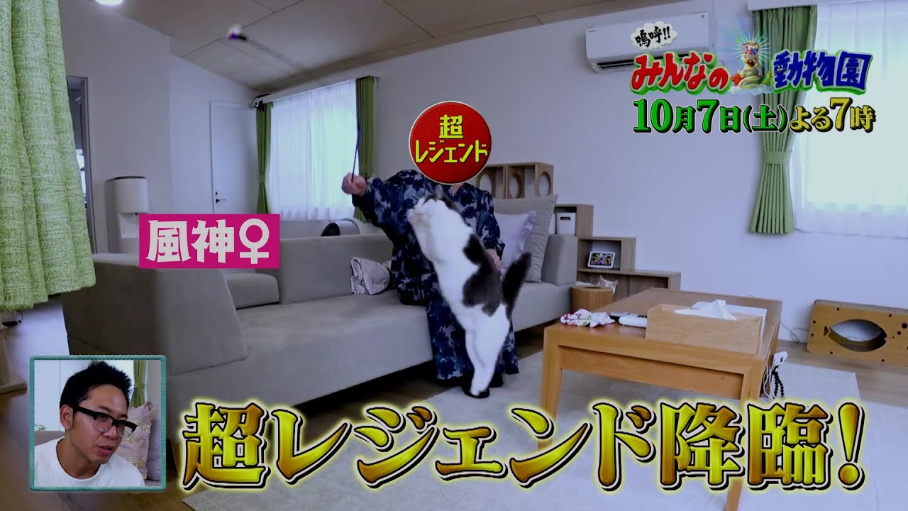 「嗚呼!!みんなの動物園」10月7日土曜よる7時放送！【新・池崎家に超保護猫レジェンド降臨！＆相葉くんの保護犬トリミングに犬大好きロッチ・中岡さん参戦！】