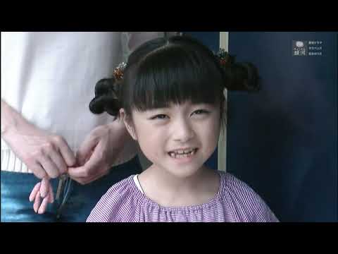 午後の名作ドラマ いなか刑事伊原泰三の退職捜査日誌１