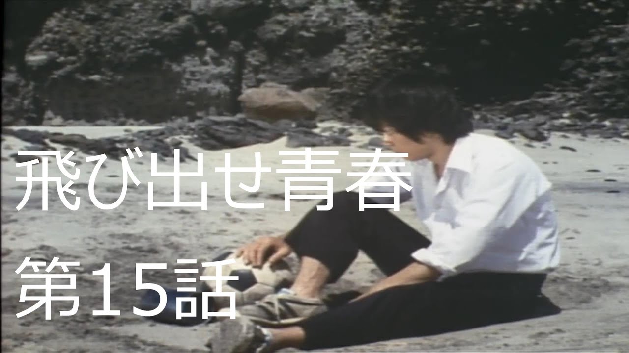 飛び出せ青春　第15話 　栄光とはなんだ！　ゲスト：火野正平　（兵藤役）