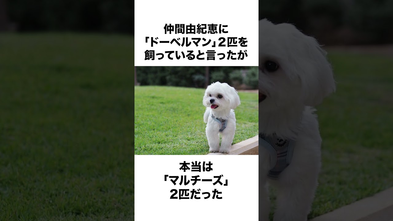 【VIVANT】阿部寛に関する面白い雑学 #shorts