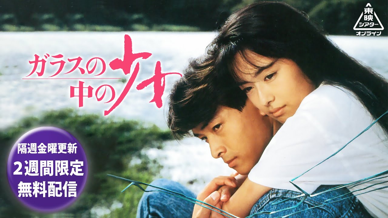 ガラスの中の少女[公式]