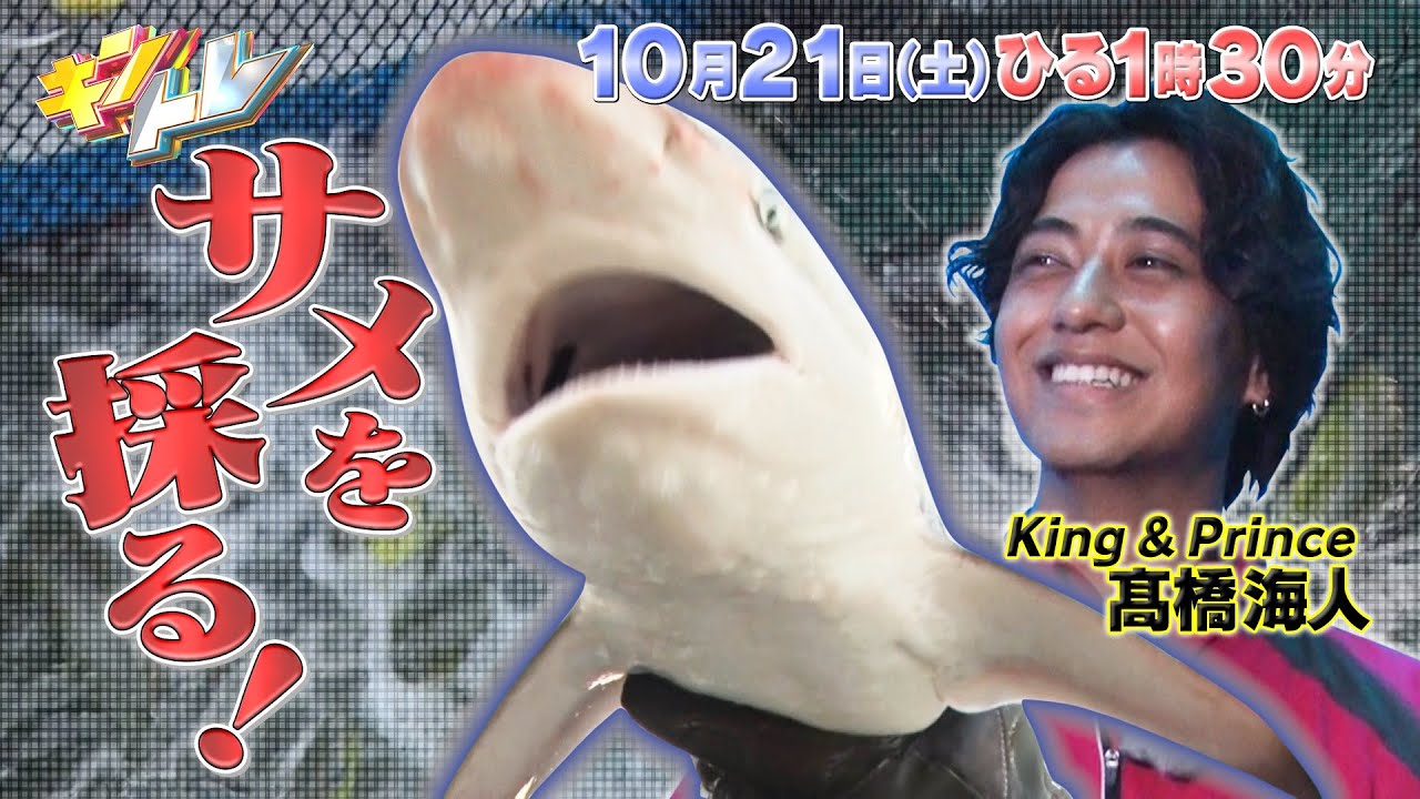 【キントレ】King & Princeのバイトレ！髙橋海人が水族館で飼育員のアルバイト！& どんな家にもある大ヒット商品を当てろ！キントレプロファイリング 10月21日(土)13:30〜放送