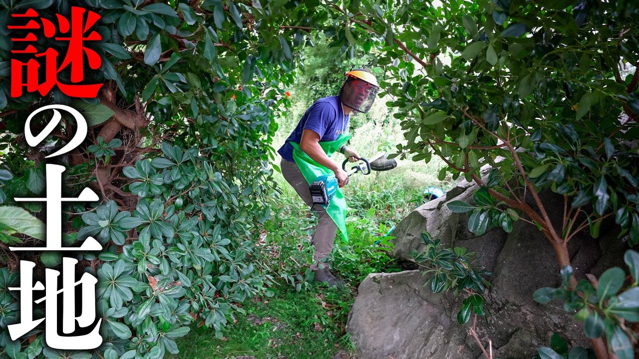 茂みの向こうに謎の土地を発見しました【二千坪の別荘】