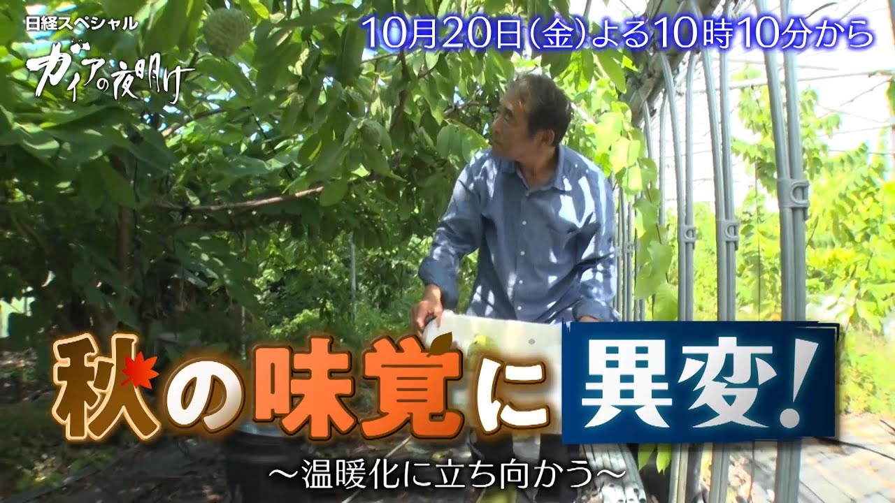 ガイアの夜明け【秋の味覚に異変！～温暖化に立ち向かう～】予告