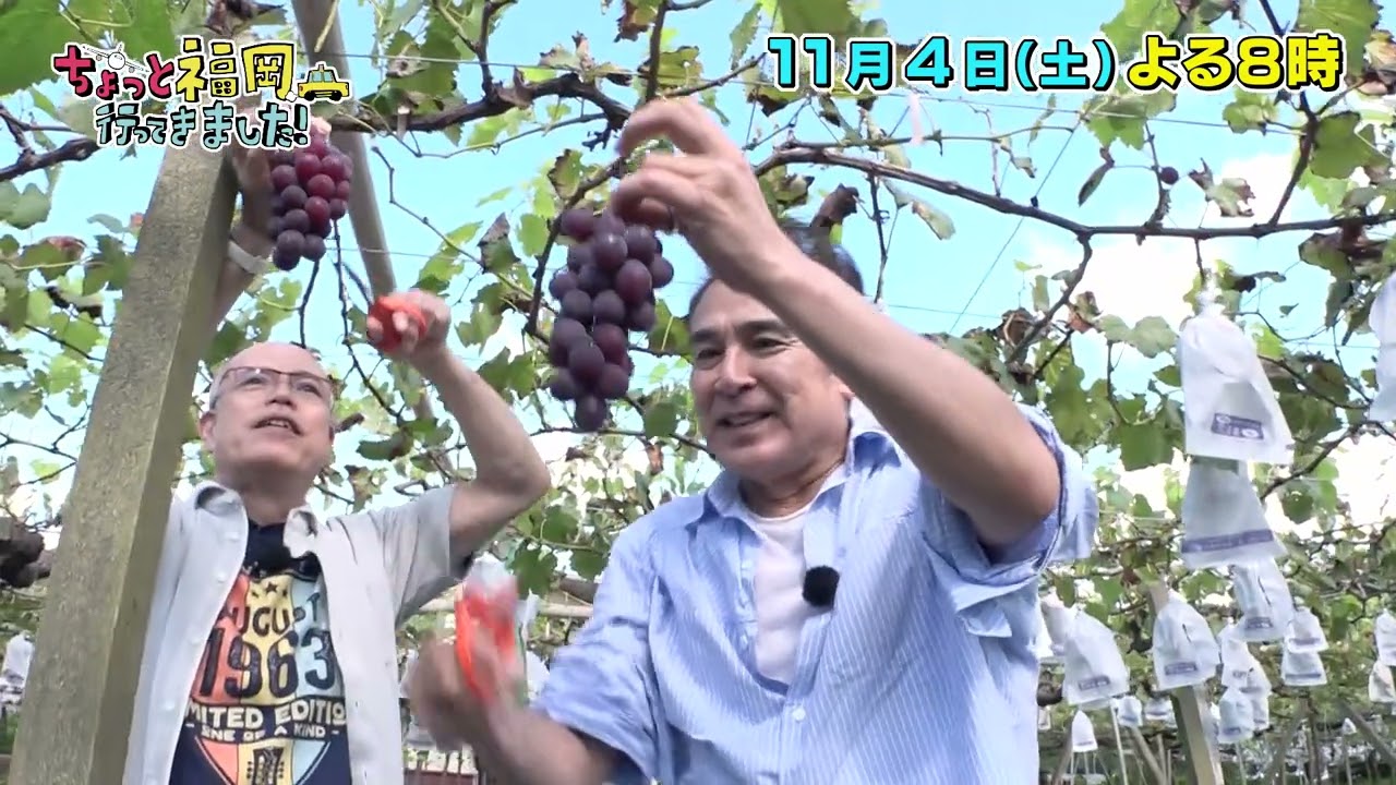 【テレQ番宣】ちょっと福岡行ってきました！（11月4日(土)20:00～）