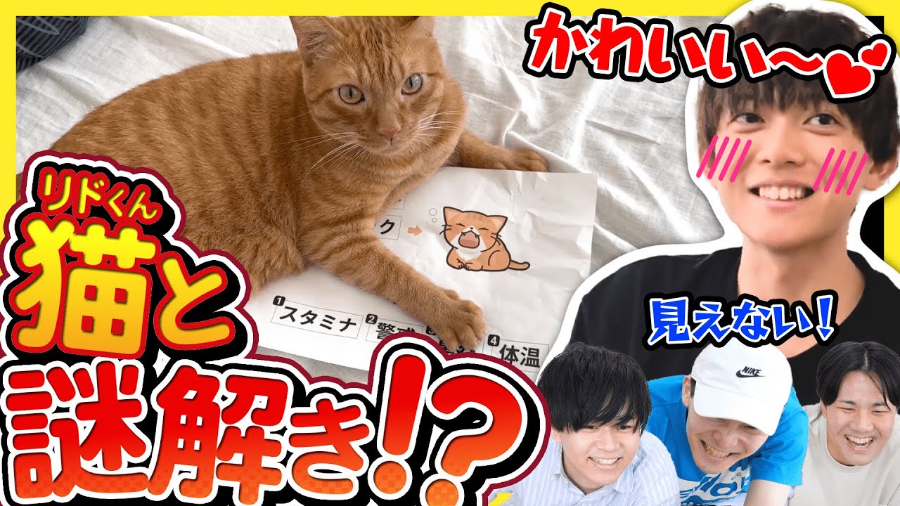 猫と一緒に謎解きしたいのにずっと邪魔してくる【かわいい】