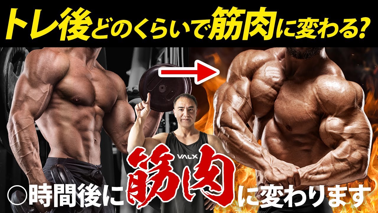 筋トレをして筋肉が着くまでにかかる時間はこれです