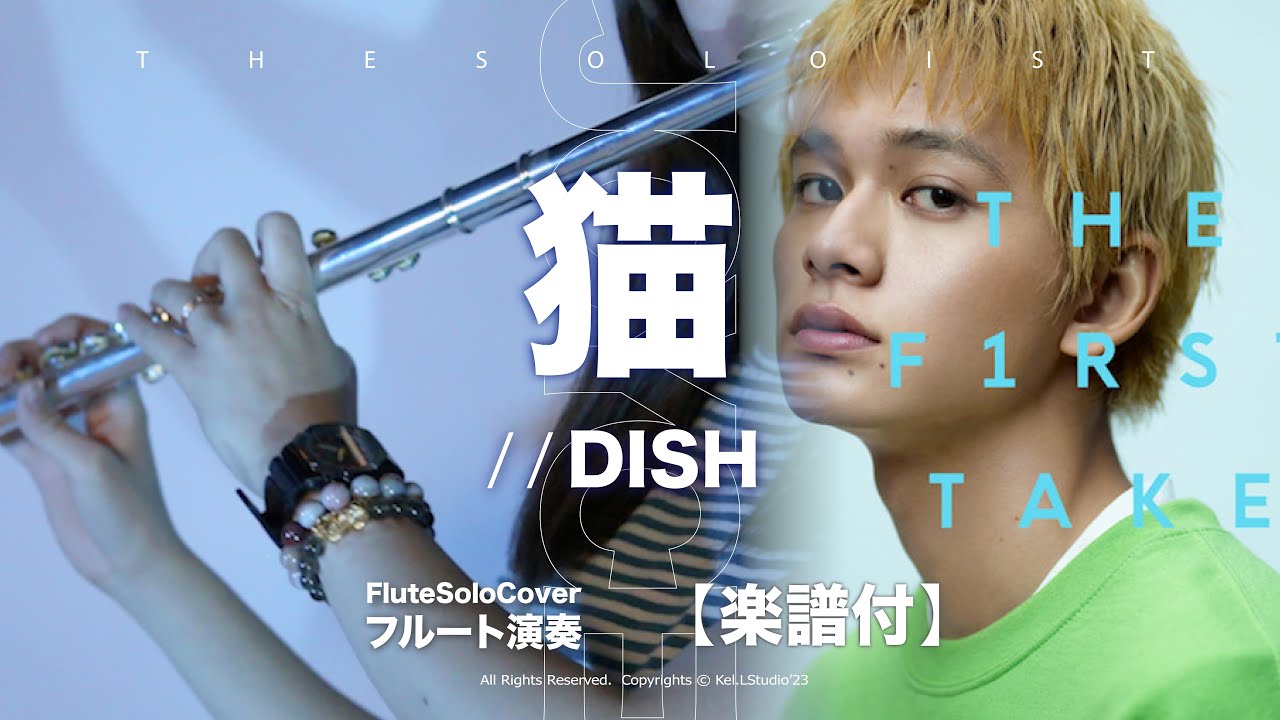 【Flute COVER】猫 / Dish 北村匠海   | TTM Winds