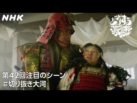 【第42回】【鳥居元忠、討ち死に】家康の…徳川のために散る！見事な最期を遂げた彦右衛門 | 大河ドラマ「どうする家康」| NHK