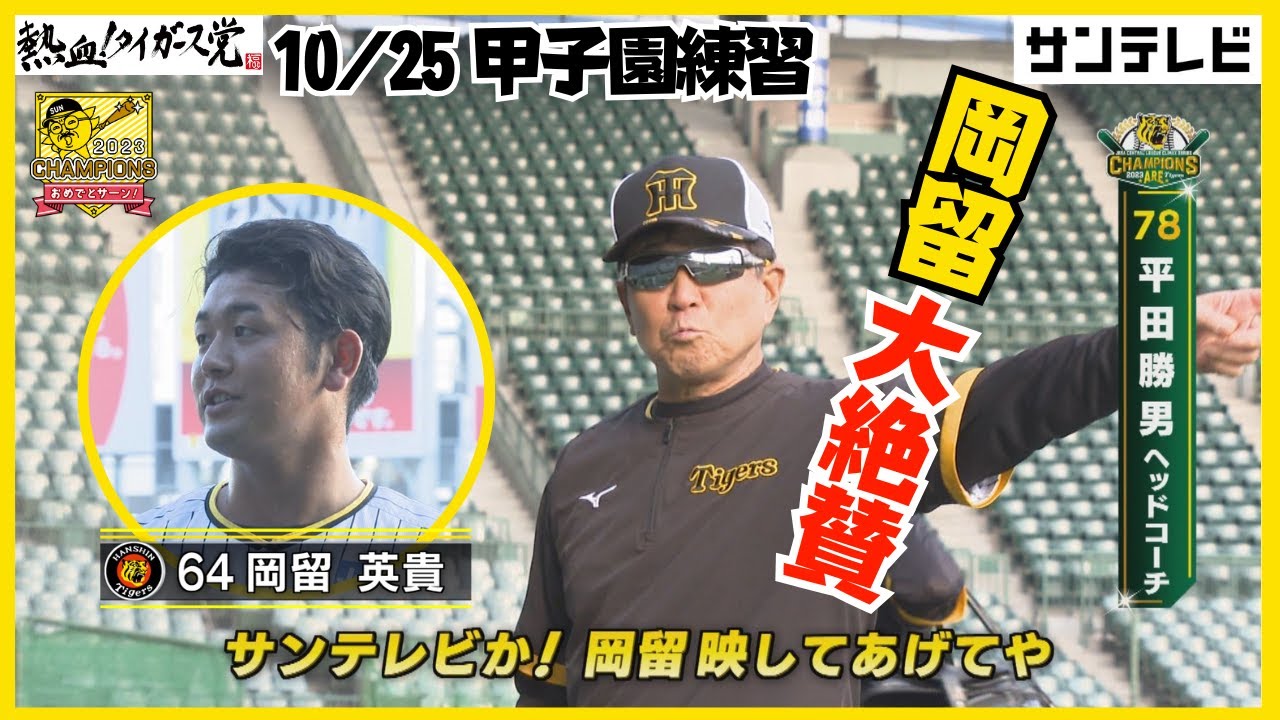 【平田ヘッド 岡留投手をべた褒め！】投手陣好調です！日本シリーズ前の甲子園練習の模様をお届け！ #熱血タイガース党