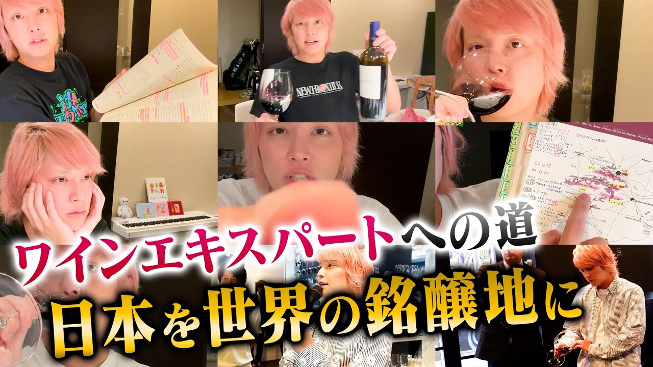 【苦悩】ワインエキスパートへの道のりが想像してたより遥か上だった・・・【勉強】