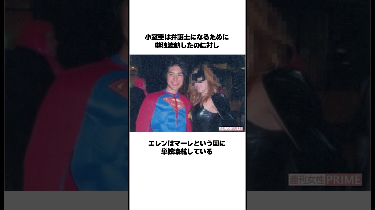 小室圭、エレンイェーガー説