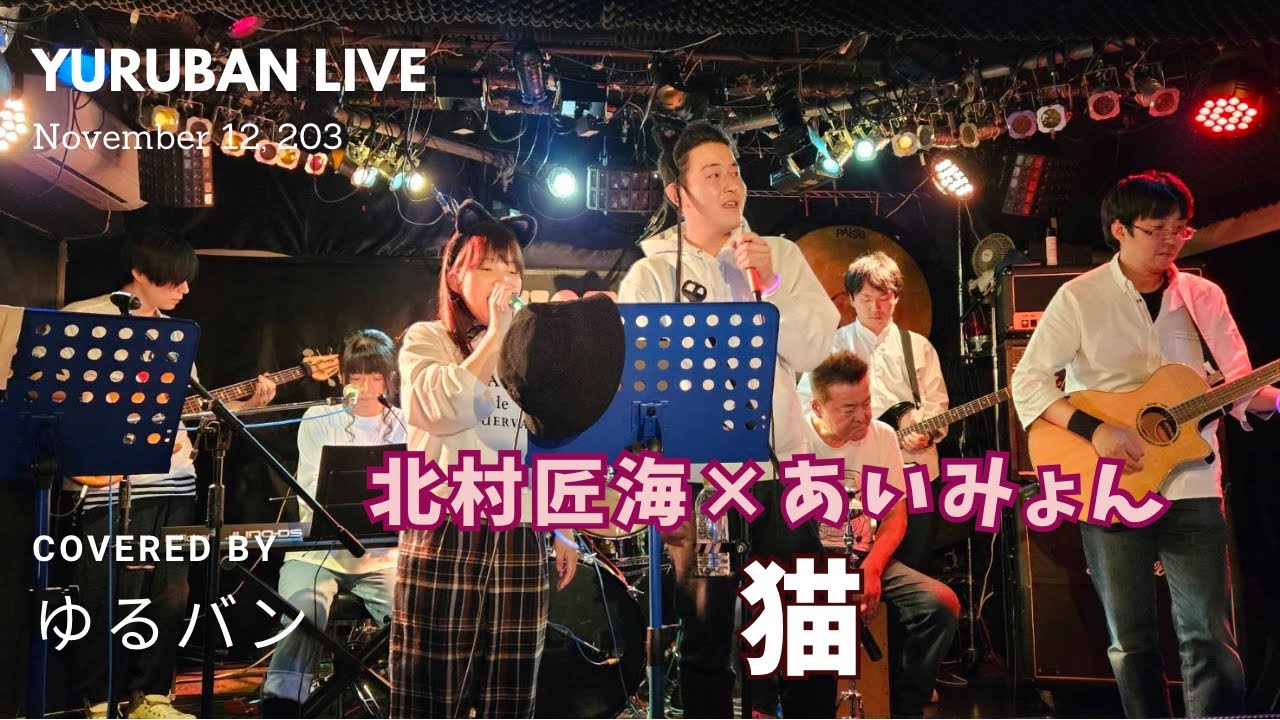 【live_Team B】猫　北村匠海×あいみょん　コピー　カバー　copy cover band　バンド 社会人　サークル　音楽　札幌　ライブ　弾いてみた　歌ってみた　叩いてみた アコースティック