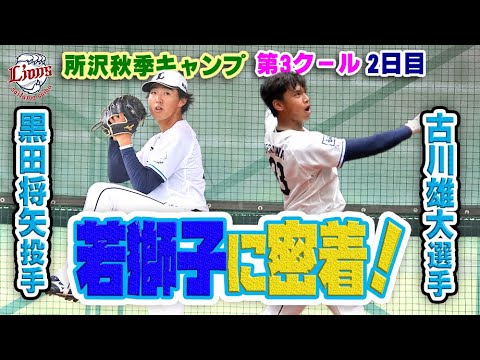 キャンプ半分終了！若獅子、黒田投手＆古川選手に迫る！【所沢秋季キャンプ11/10ダイジェスト】