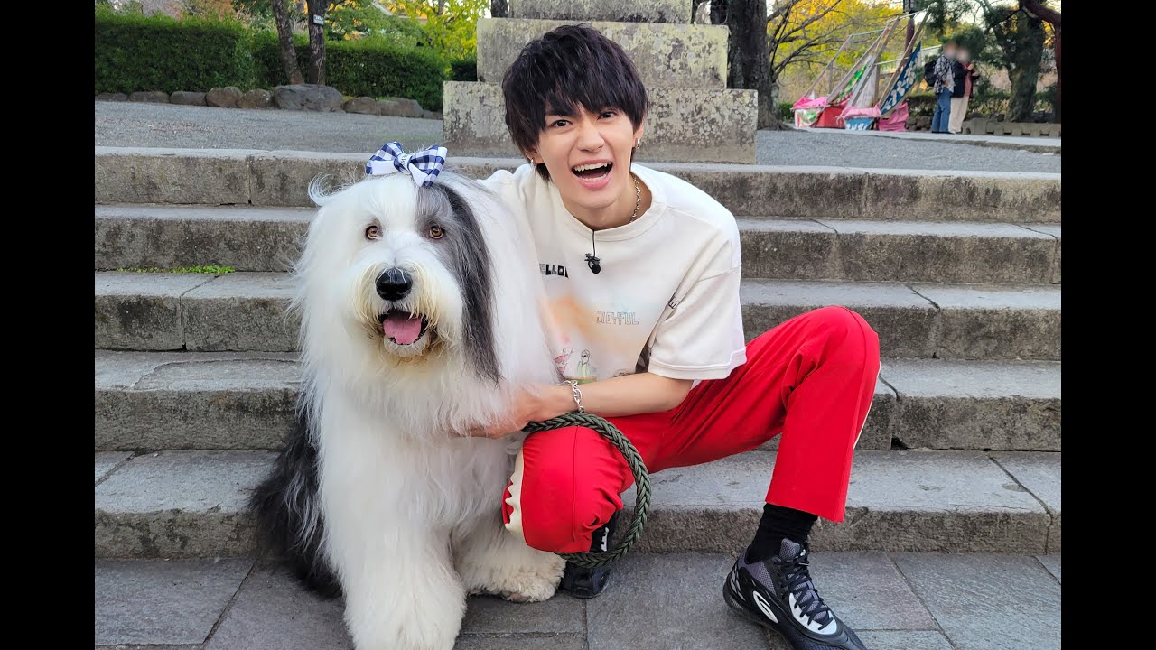 笑ってコラえて！2時間スペシャル！佐野勇斗が三島市でネタを探して爆走！29日(水)よる7時54分放送