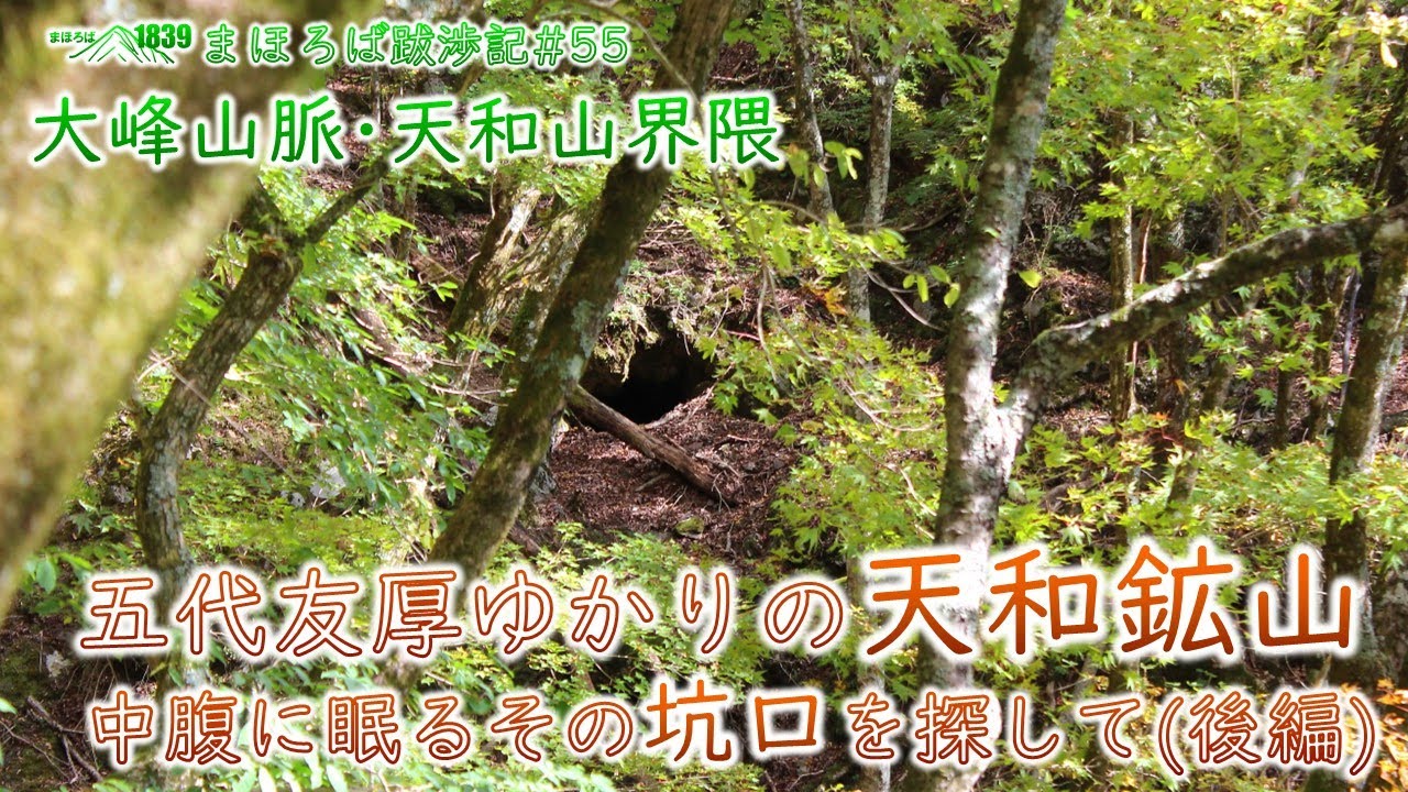まほろば跋渉記#55　大峰山脈･天和山界隈　五代友厚ゆかりの天和鉱山　中腹に眠るその坑口を探して(後編)