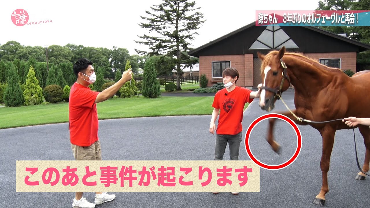 事件発生！？オルフェーヴルと池添謙一騎手が久々の再会'22夏｜期間限定無料配信