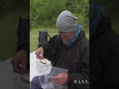 火野正平 こころたび  Clip #844 #shorts #shortvideo #shortsvideo