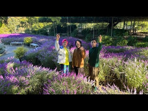 B1- 林遣都、満島真之介&兼近大樹に「若干無理してます」 足利旅で芸人への思い語る