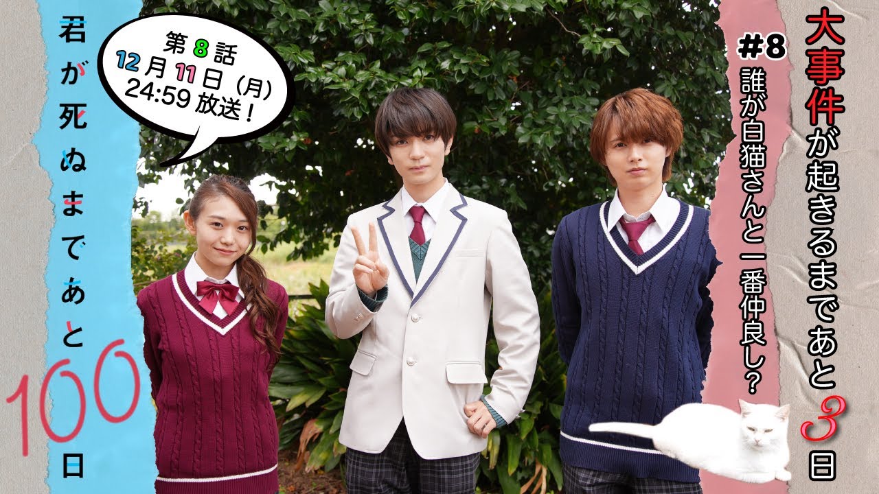 【白猫さんと一番仲良しなのは誰？😺😺】大事件が起きるまであと3日🐈PRタイムをかけて白猫参加型ゲーム✨『君が死ぬまであと100日』第8話12月11日(月)24:59放送／日本テレビ「シンドラ」