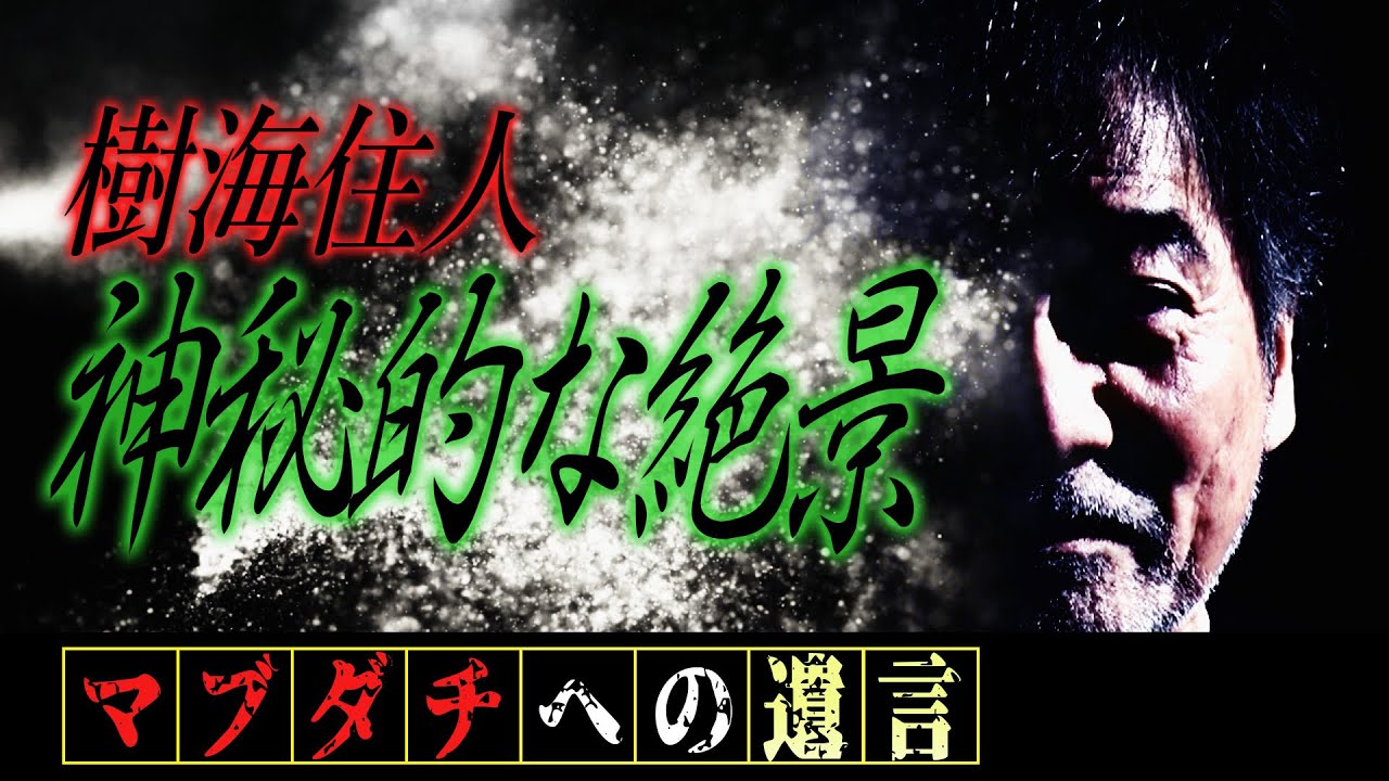 【夢でもし逢えたら】若い頃の夢&年老いた時の夢…丹波哲郎が見た夢とは！？【樹海住人】何かの深い事情があって樹海の小屋でひっそりと暮らす…【現実逃避】魂をおさめる場所…【神秘的な絶景】【アントニオ猪木】