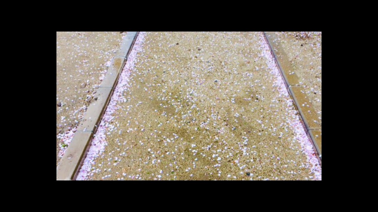 往路ふQろう『花道のpresent』MUSIC VIDEO【第1世界　EXODUSあなたとわたしのゆめうつつ 編】Music No.1-0006