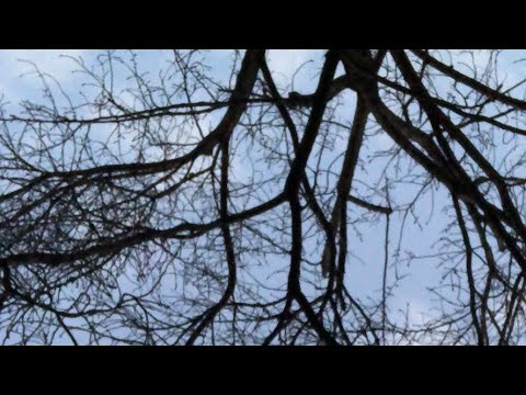 【12月30日ラジオ体操866日目】今年もあと2日！