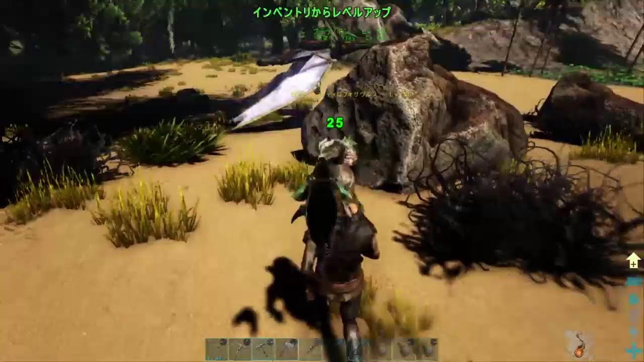 銀ちゃんのあーく