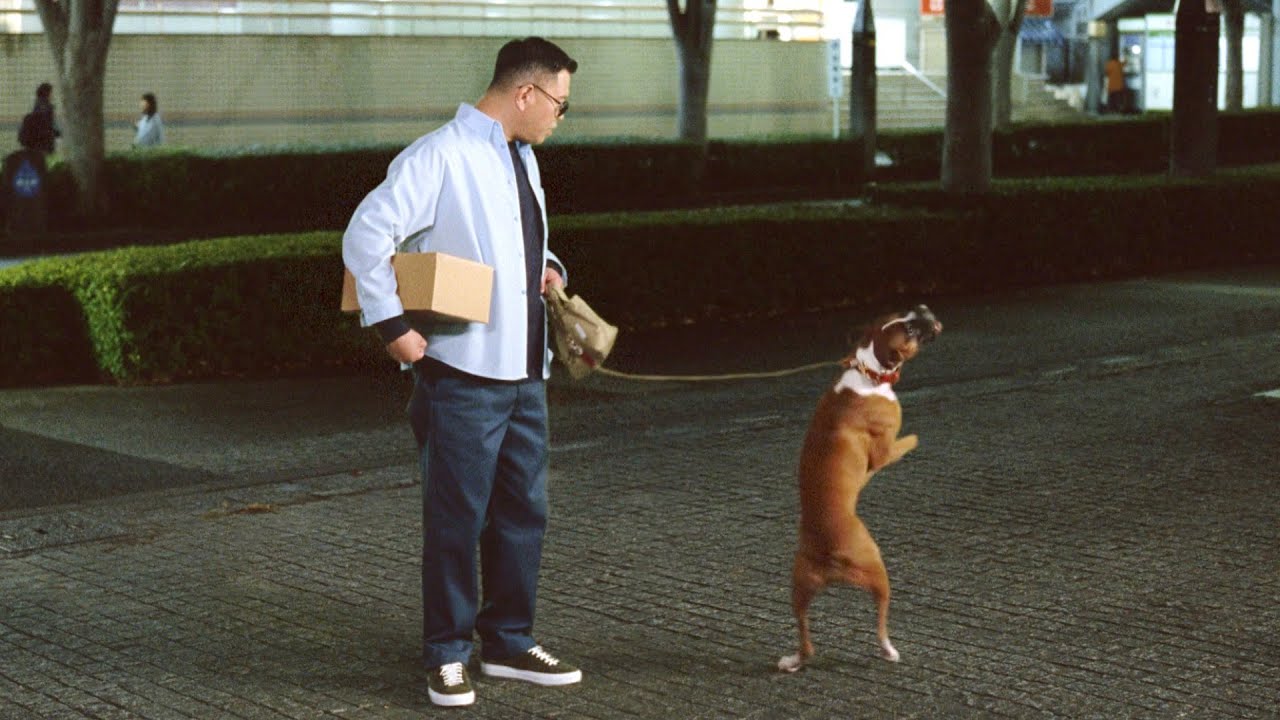 シソンヌ長谷川忍、愛犬も小躍り！世間知らズ、小虎、シノブも共演／「ゆうパック」新CM＋インタビュー＋メイキング