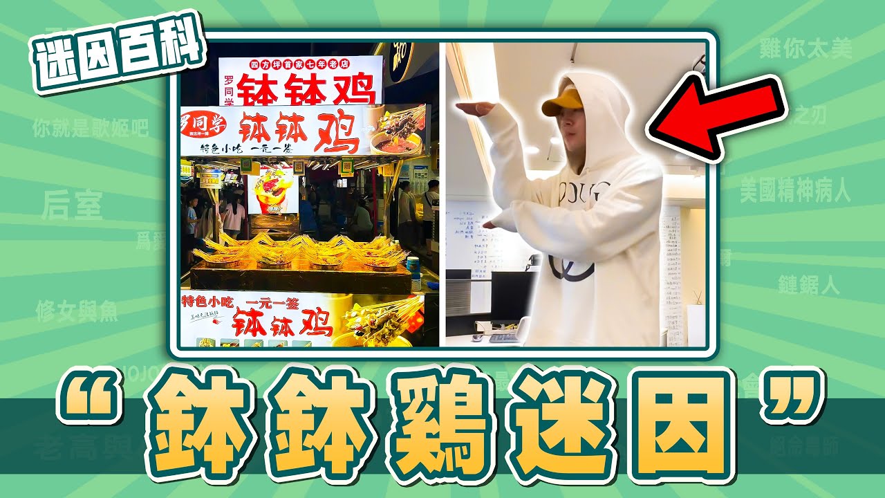 洗腦全網的鉢鉢鷄到底在紅什麽？“鉢鉢鷄”是什麽迷因？【迷因百科】#鉢鉢鷄 #叫賣 #鉢鉢鷄一元一串 #memes #迷因