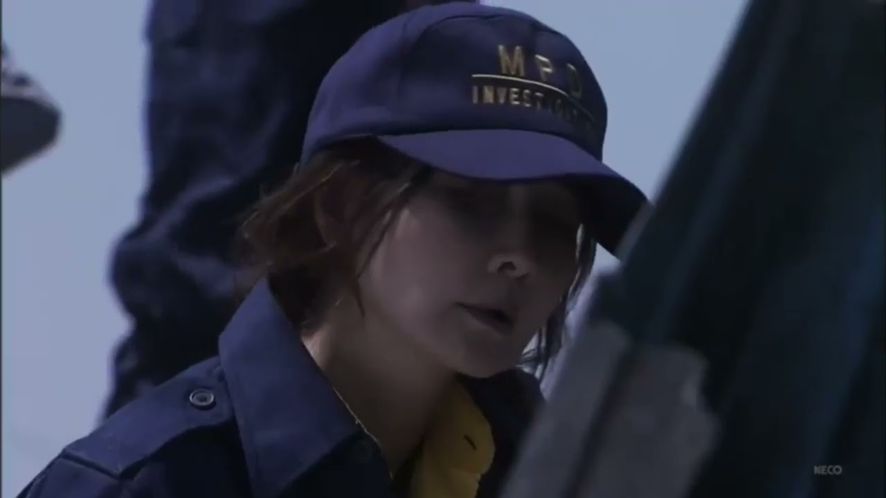 字 刑事鳴沢了１ 東京テロ史上最悪の２４時間坂口憲二主演 サスペンス