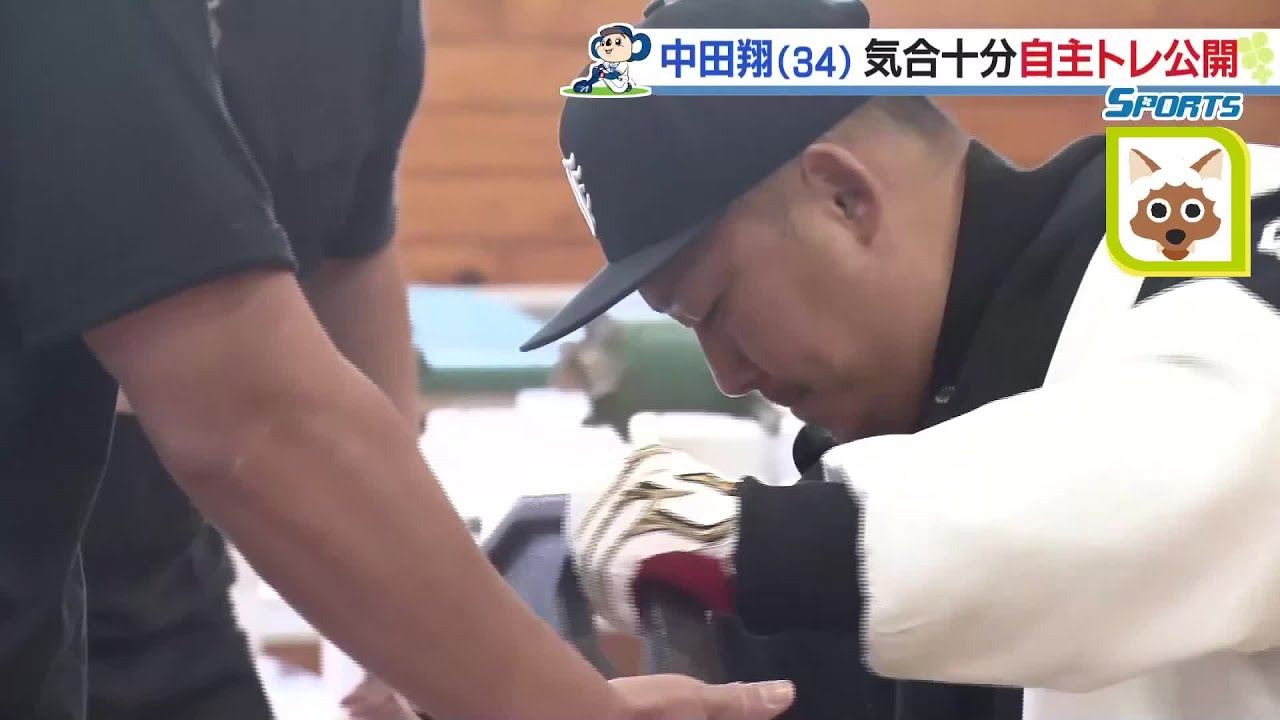 ドラゴンズ中田翔が自主トレ公開　トレーニング合間には後輩を激写？ (24/01/12 10:39)
